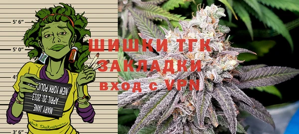 крисы Абдулино