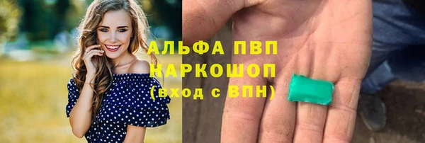 шишки Абинск
