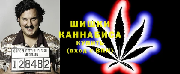 шишки Абинск