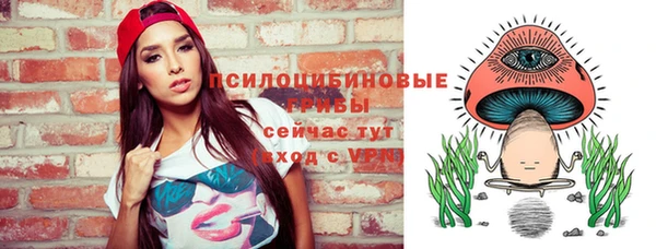 мет Абаза
