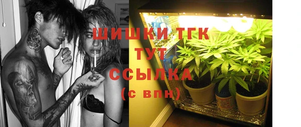 крисы Абдулино