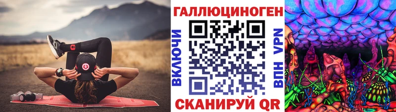 где продают   Тамбов  blacksprut ССЫЛКА  Галлюциногенные грибы Psilocybe 
